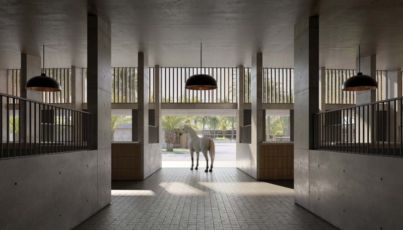 GRAND_POLO_IMAGE17-r668ob57ql5oriyo5t0o82xtxkw90wayomxgy9ogd6